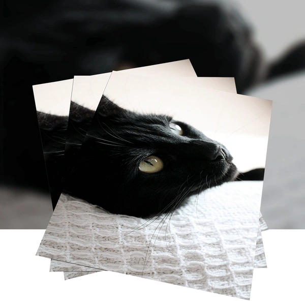 Full Colour Posters Bracknell Print Room Limited